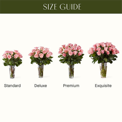 Long Stem Pink Rose Bouquet –  Fleuriste Rive Sud, Longueuil PQ