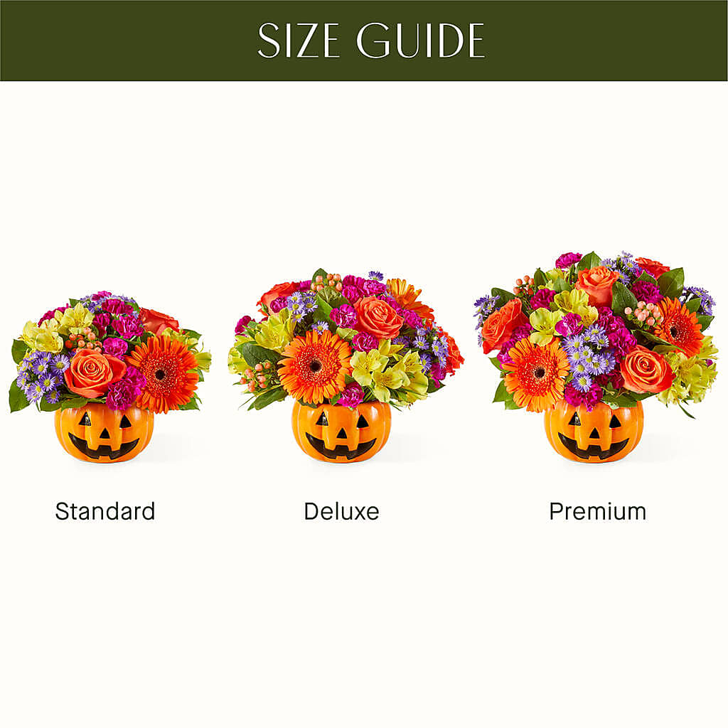 Tricks & Treats Pumpkin –  Fleuriste Rive Sud, Longueuil PQ