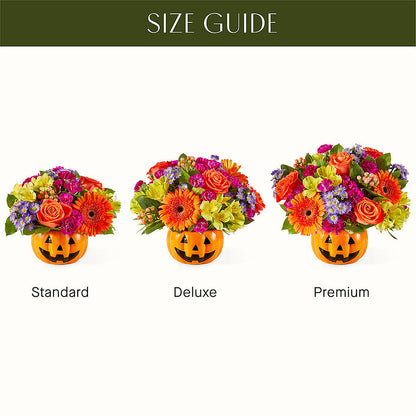 Tricks & Treats Pumpkin –  Fleuriste Rive Sud, Longueuil PQ