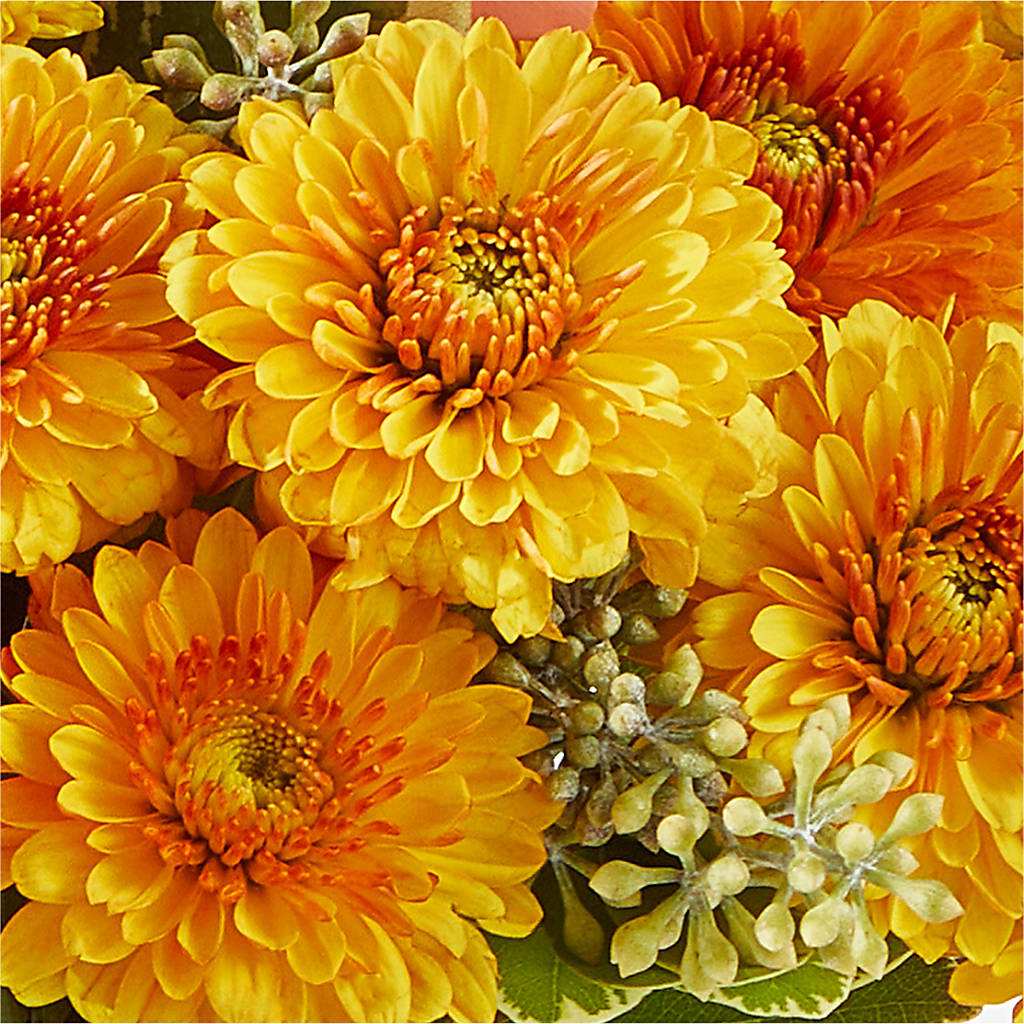 Peachy Pumpkin –  Fleuriste Rive Sud, Longueuil PQ