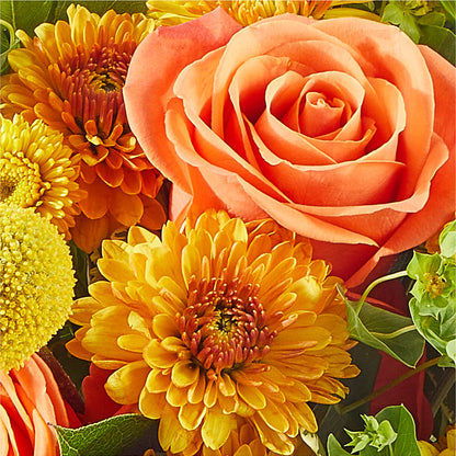Gourdgeous Pumpkin –  Fleuriste Rive Sud, Longueuil PQ