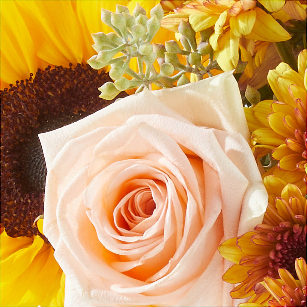 Pumpkin to Talk About Bouquet –  Fleuriste Rive Sud, Longueuil PQ