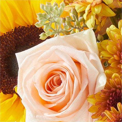 Pumpkin to Talk About Bouquet –  Fleuriste Rive Sud, Longueuil PQ