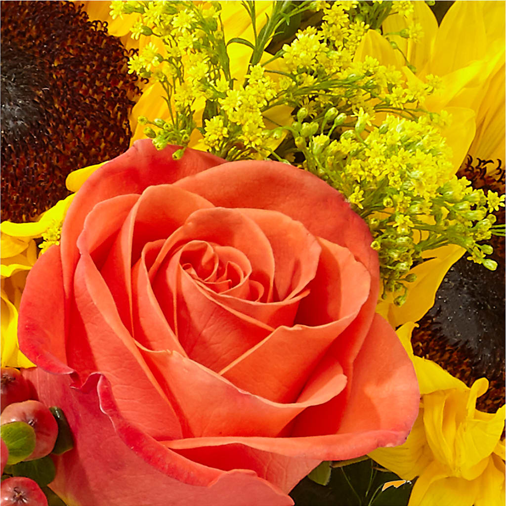 Pick of the Patch Pumpkin Bouquet –  Fleuriste Rive Sud, Longueuil PQ