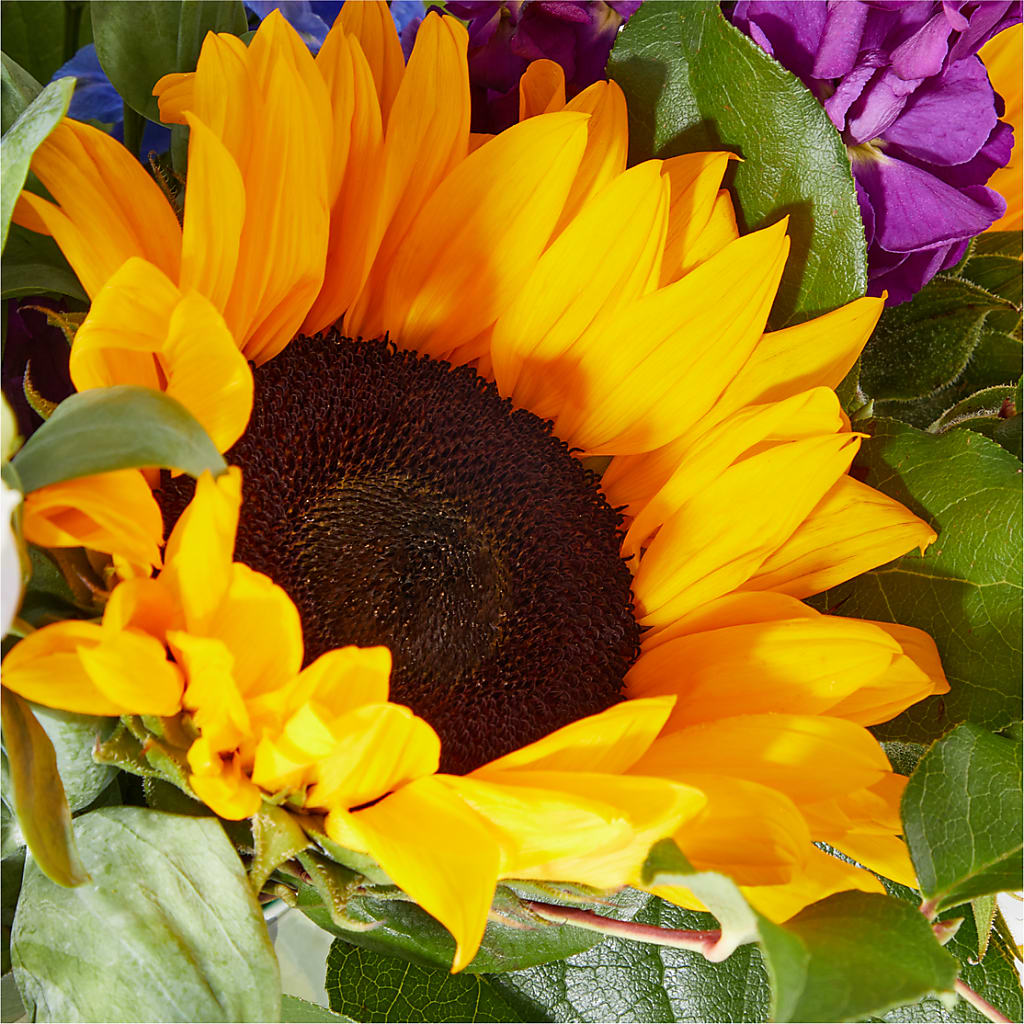 Catching Rays Bouquet –  Fleuriste Rive Sud, Longueuil PQ