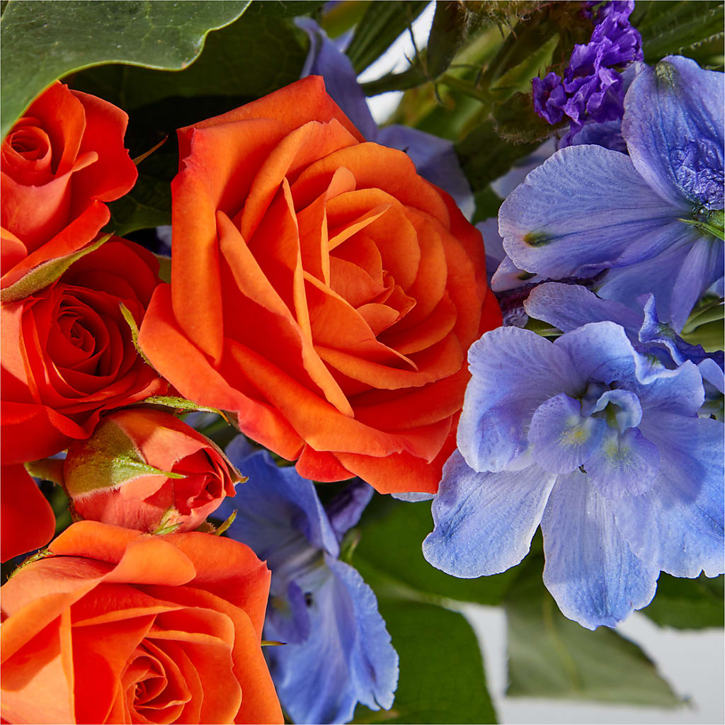 Radiant Citrus Bouquet –  Fleuriste Rive Sud, Longueuil PQ