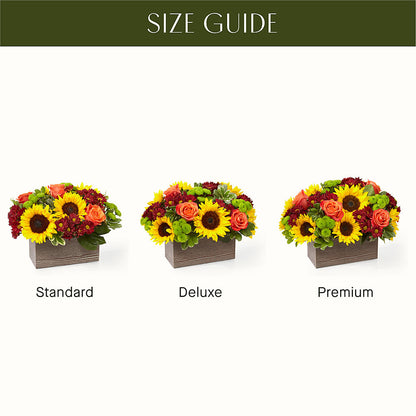 Happy Harvest Garden –  Fleuriste Rive Sud, Longueuil PQ