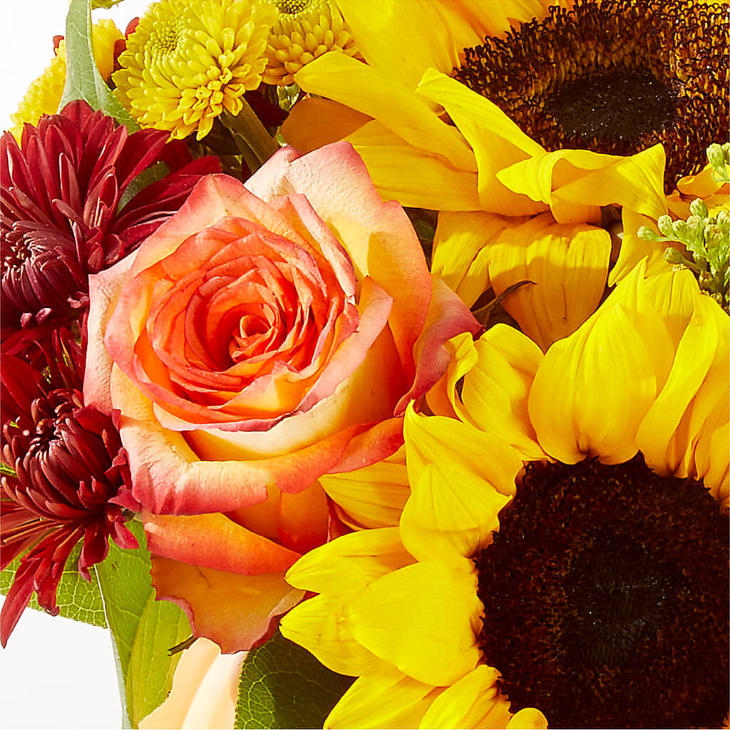 Golden Gourd Pumpkin Bouquet –  Fleuriste Rive Sud, Longueuil PQ