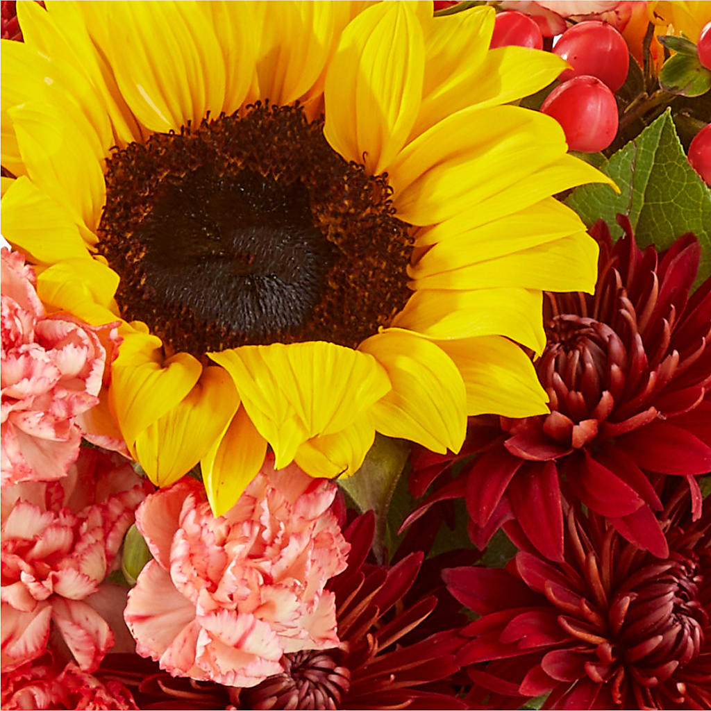 Fresh Cider Bouquet –  Fleuriste Rive Sud, Longueuil PQ