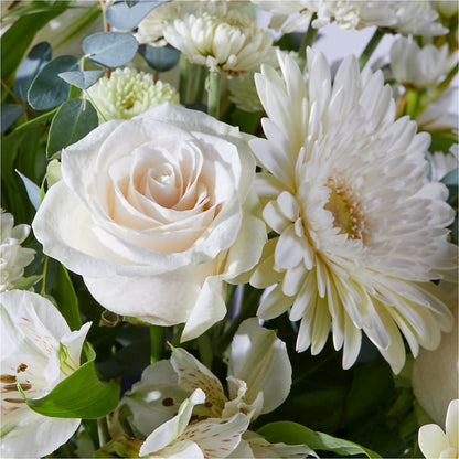 New Beginnings – A Florist Original –  Fleuriste Rive Sud, Longueuil PQ