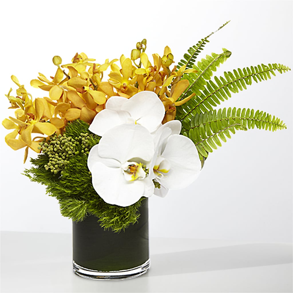 The Tropics –  Fleuriste Rive Sud, Longueuil PQ