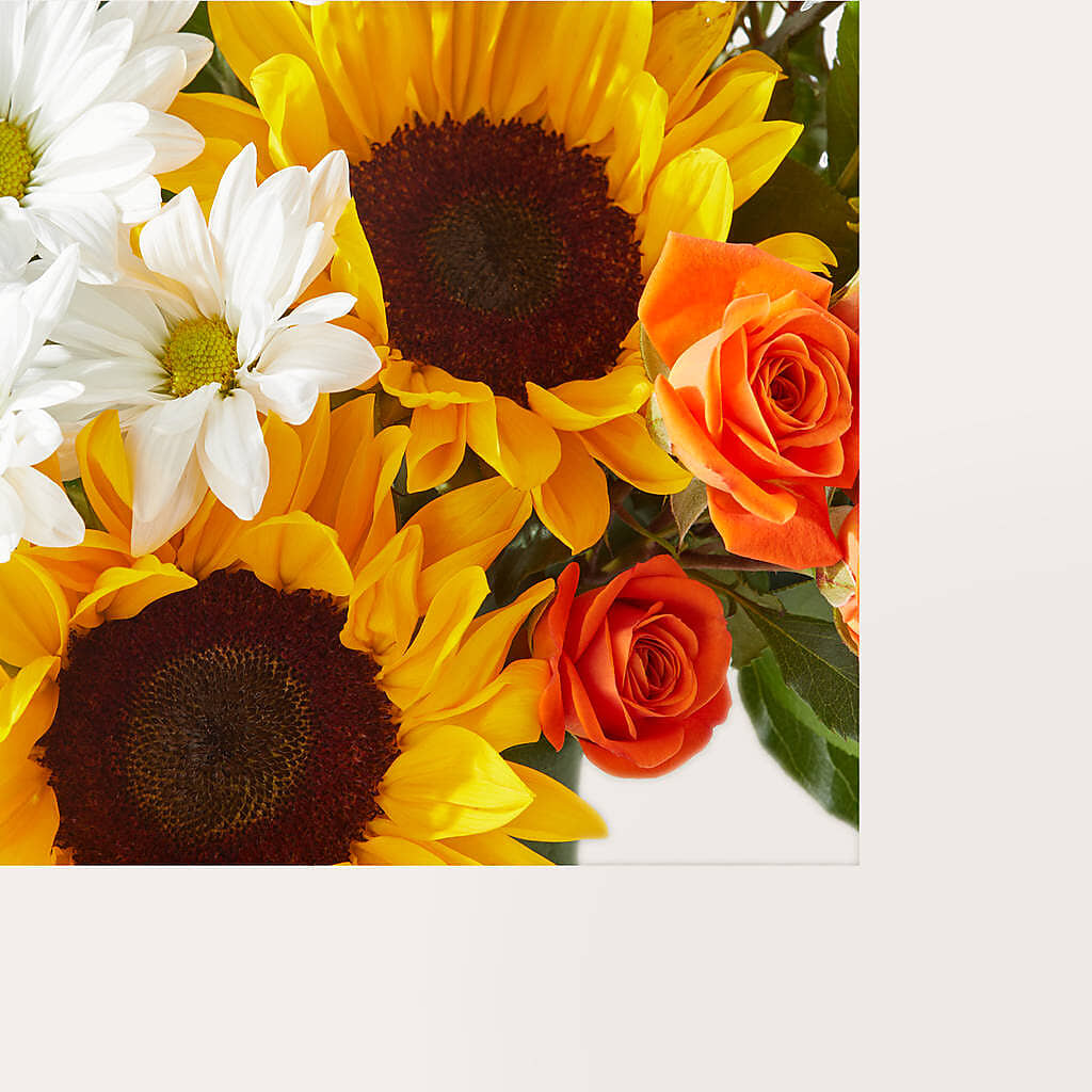 Sun-drenched Blooms Box Bouquet –  Fleuriste Rive Sud, Longueuil PQ