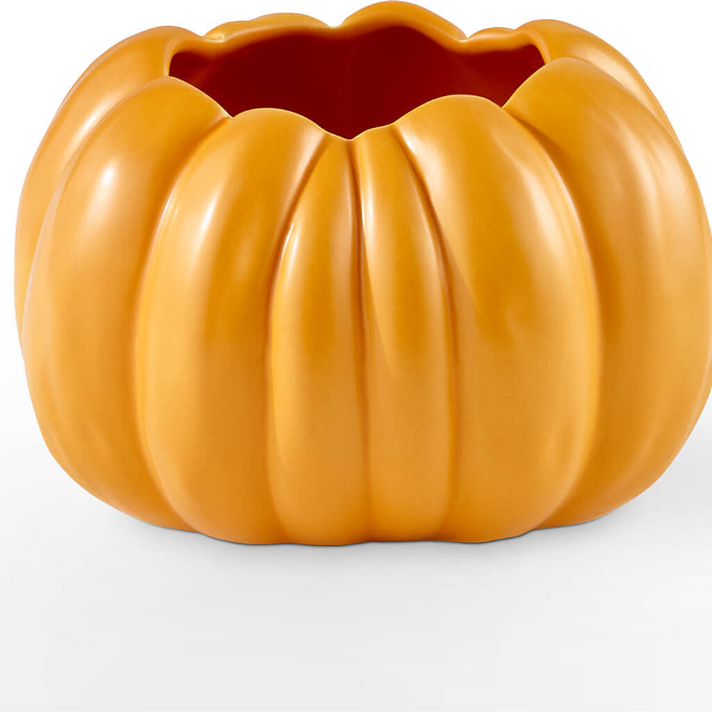 Golden Gourd Pumpkin Bouquet –  Fleuriste Rive Sud, Longueuil PQ