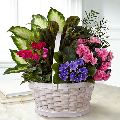 Peaceful Garden Planter –  Fleuriste Rive Sud, Longueuil PQ