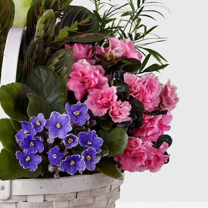 Peaceful Garden Planter –  Fleuriste Rive Sud, Longueuil PQ