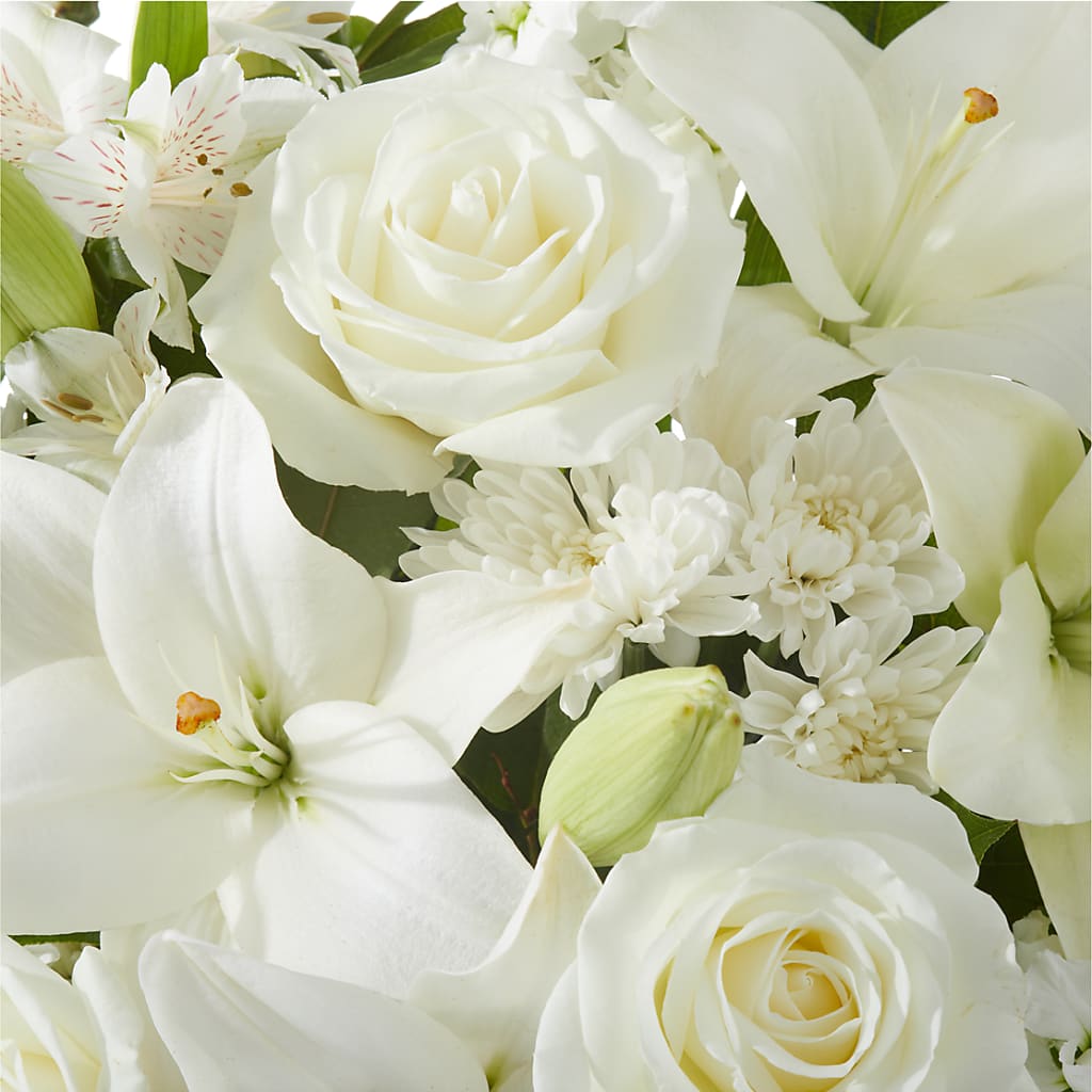 Peaceful Reflections Arrangement –  Fleuriste Rive Sud, Longueuil PQ