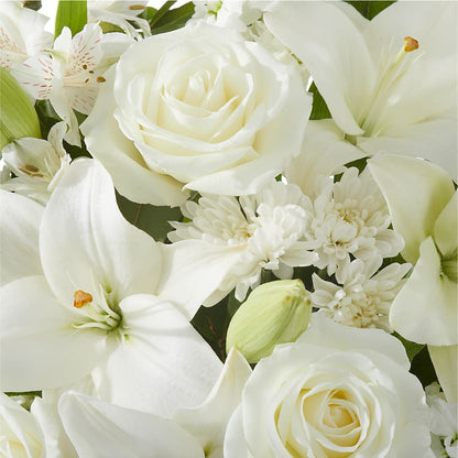 Peaceful Reflections Arrangement –  Fleuriste Rive Sud, Longueuil PQ