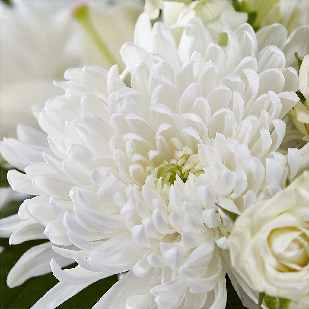 Classic Ivory – A Florist Original –  Fleuriste Rive Sud, Longueuil PQ