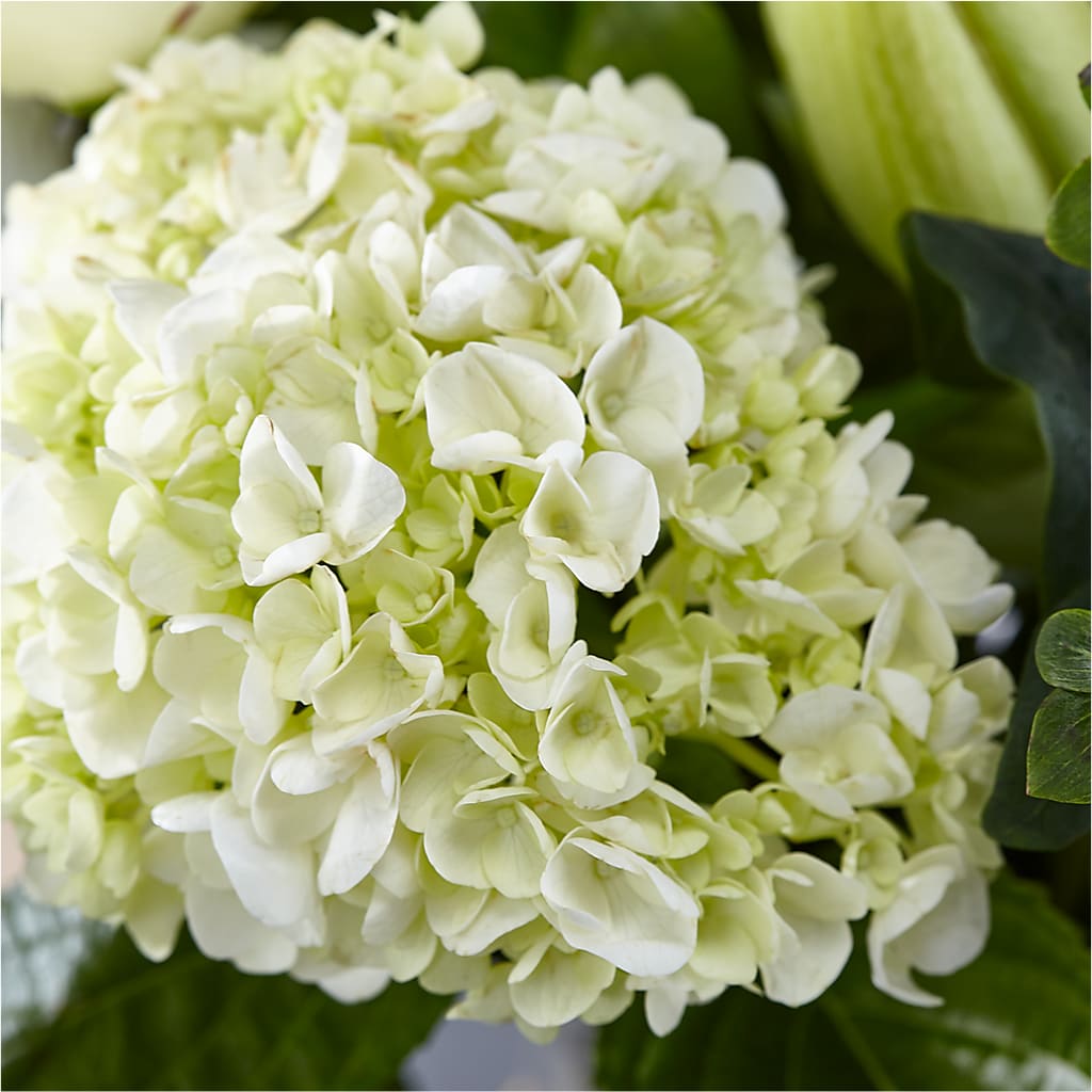 Classic Ivory – A Florist Original –  Fleuriste Rive Sud, Longueuil PQ