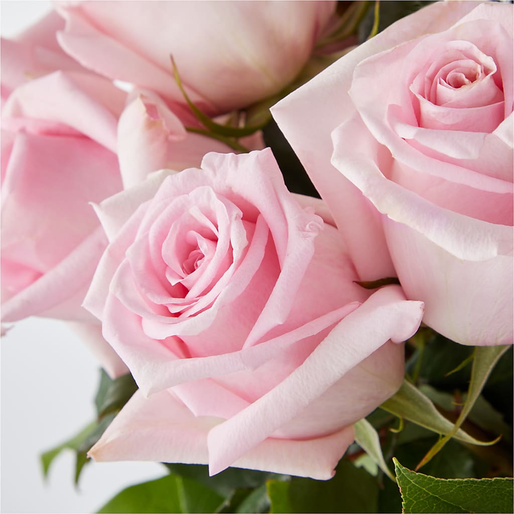 Picture Perfect Pink Rose Bouquet –  Fleuriste Rive Sud, Longueuil PQ