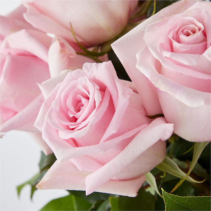 Picture Perfect Pink Rose Bouquet –  Fleuriste Rive Sud, Longueuil PQ