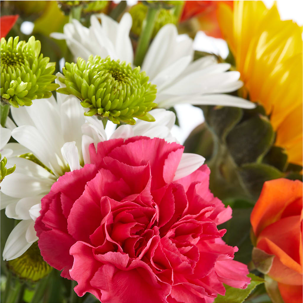Sun-drenched Blooms Bouquet –  Fleuriste Rive Sud, Longueuil PQ