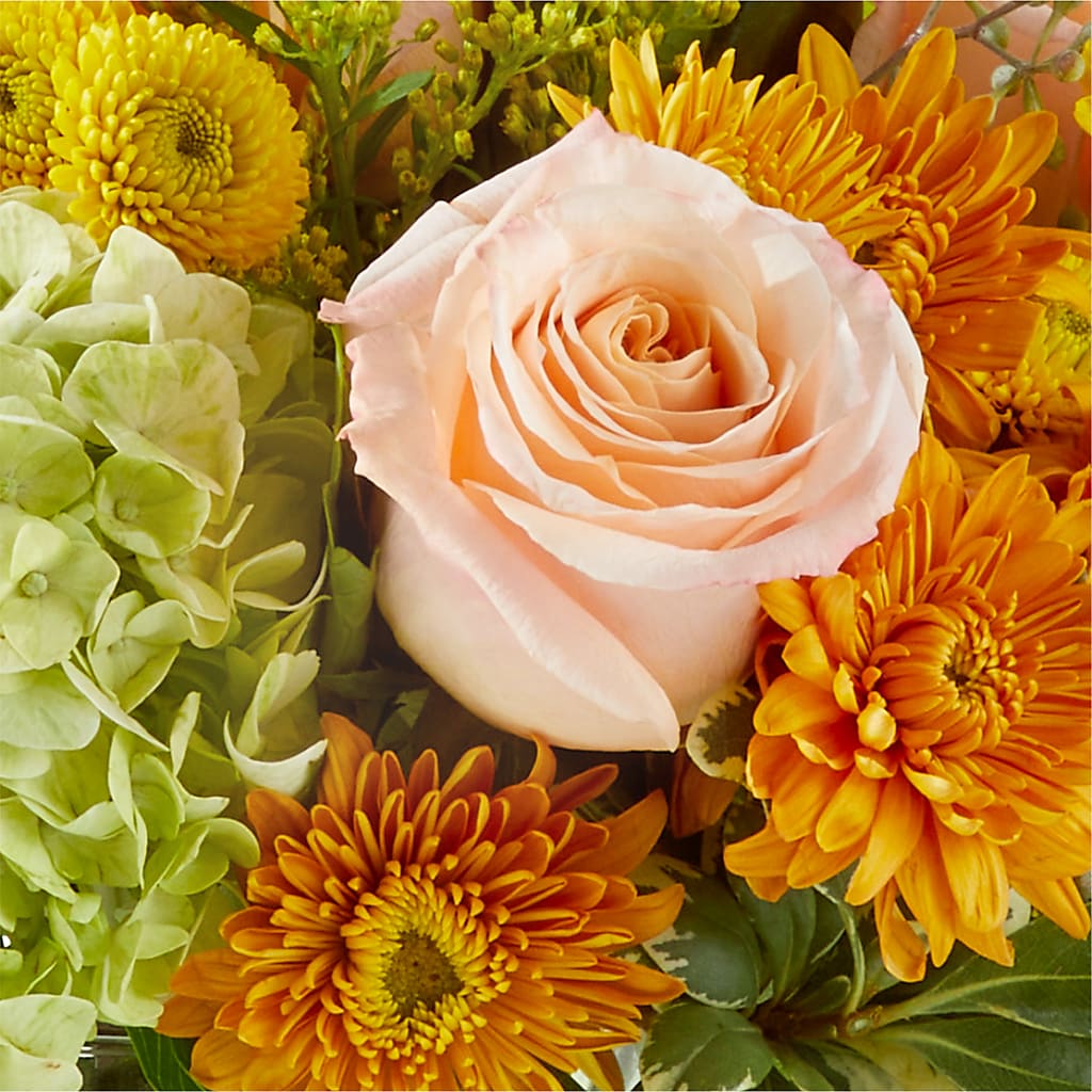 Fall Foliage Bouquet –  Fleuriste Rive Sud, Longueuil PQ