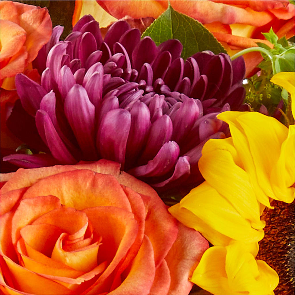 Nature Walk Bouquet –  Fleuriste Rive Sud, Longueuil PQ