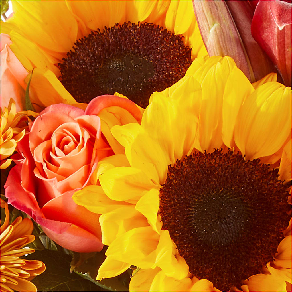 Acorn Lane Bouquet –  Fleuriste Rive Sud, Longueuil PQ