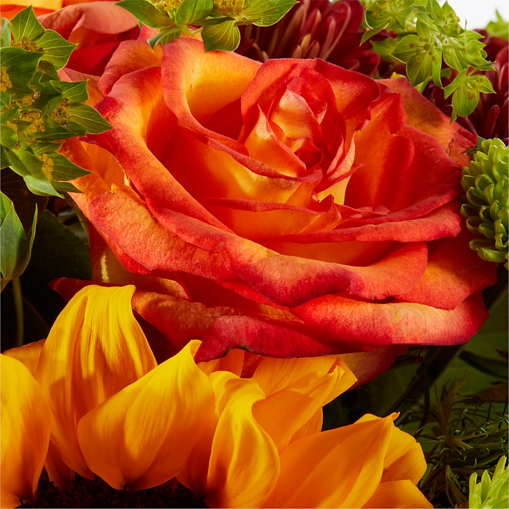 Harvest Festival Bouquet –  Fleuriste Rive Sud, Longueuil PQ