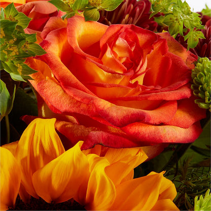 Harvest Festival Bouquet –  Fleuriste Rive Sud, Longueuil PQ