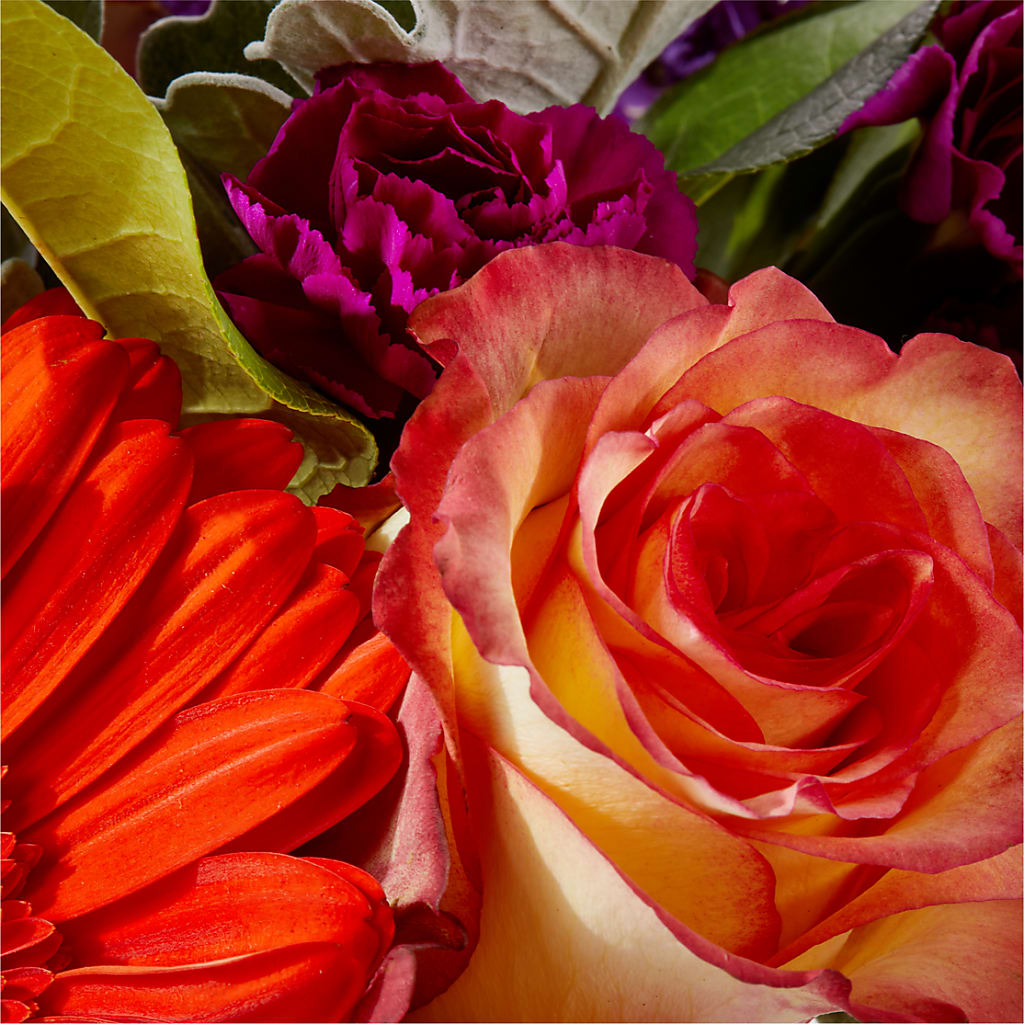 Sangria Bouquet –  Fleuriste Rive Sud, Longueuil PQ