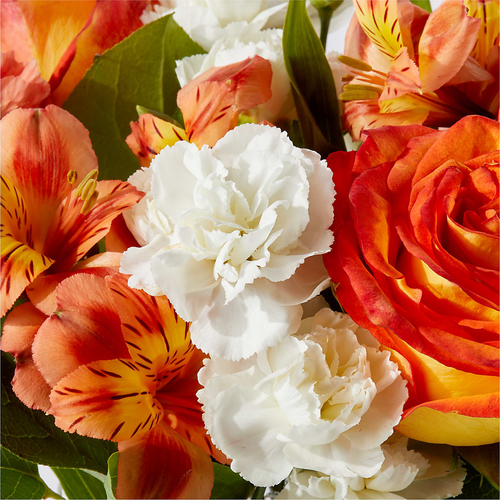 Apricot Glow Bouquet –  Fleuriste Rive Sud, Longueuil PQ