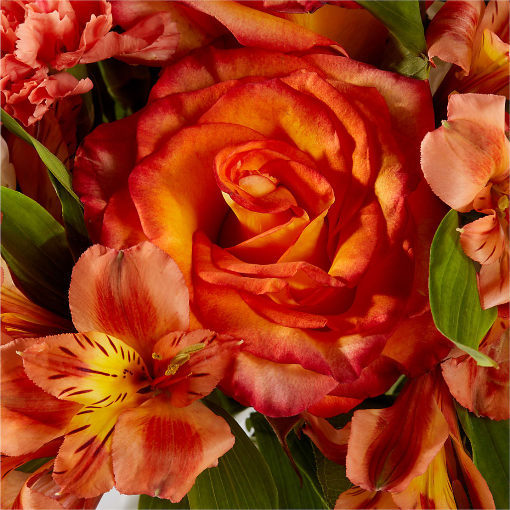 Apricot Glow Bouquet –  Fleuriste Rive Sud, Longueuil PQ