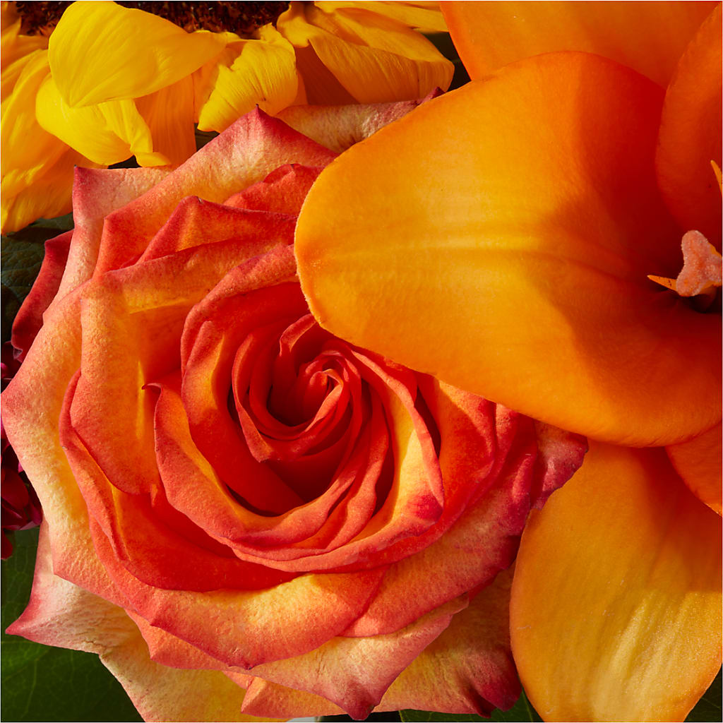 Grateful Centerpiece –  Fleuriste Rive Sud, Longueuil PQ