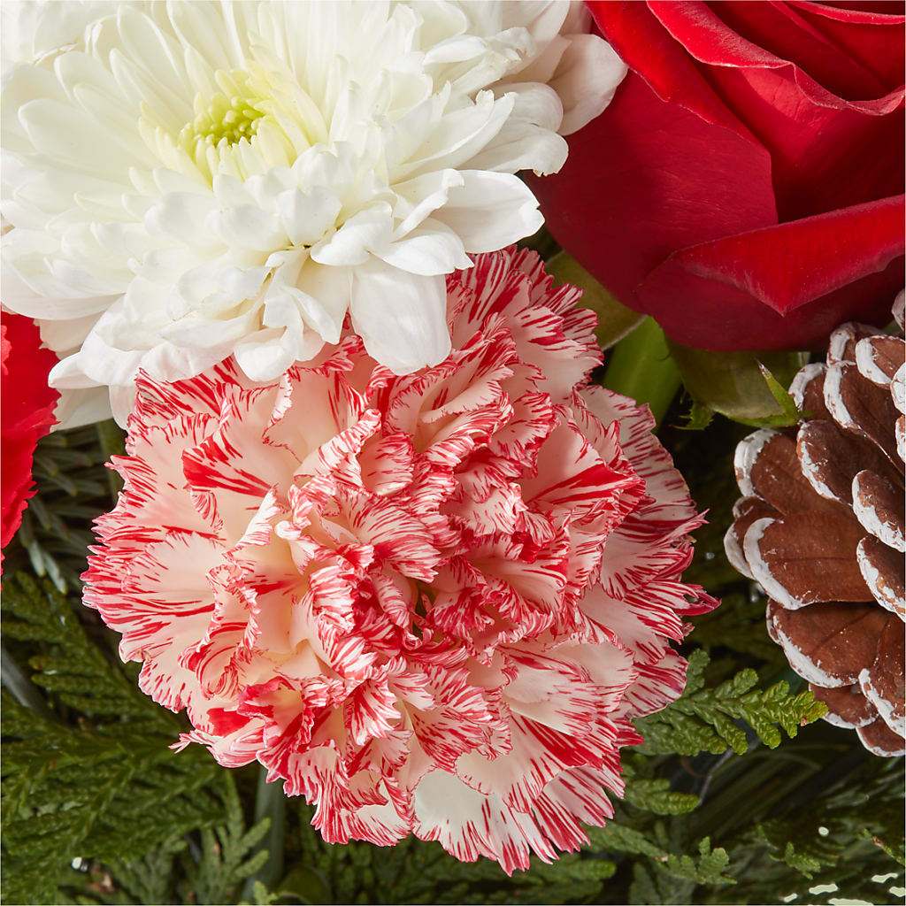 Candy Cane Lane Bouquet –  Fleuriste Rive Sud, Longueuil PQ