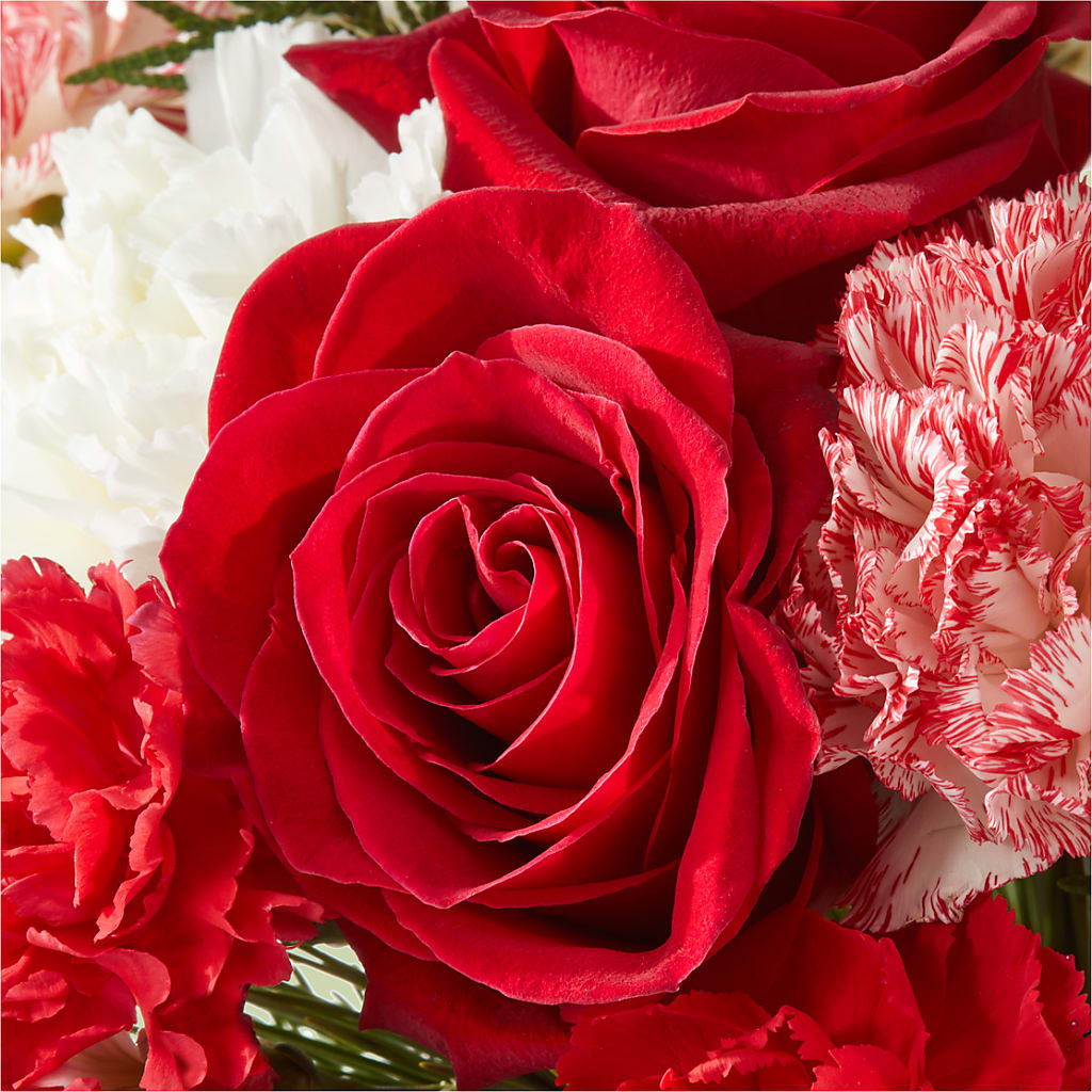 Candy Cane Lane Bouquet –  Fleuriste Rive Sud, Longueuil PQ