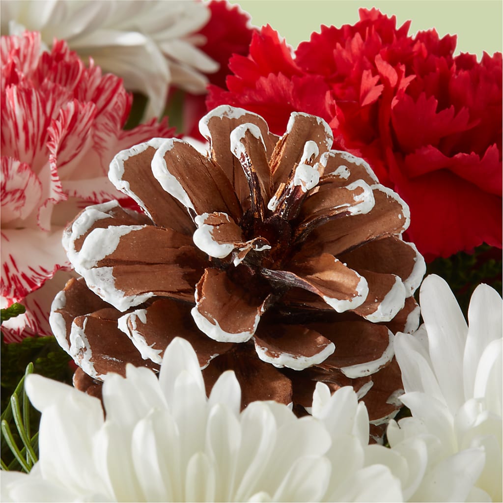 Candy Cane Lane Bouquet –  Fleuriste Rive Sud, Longueuil PQ