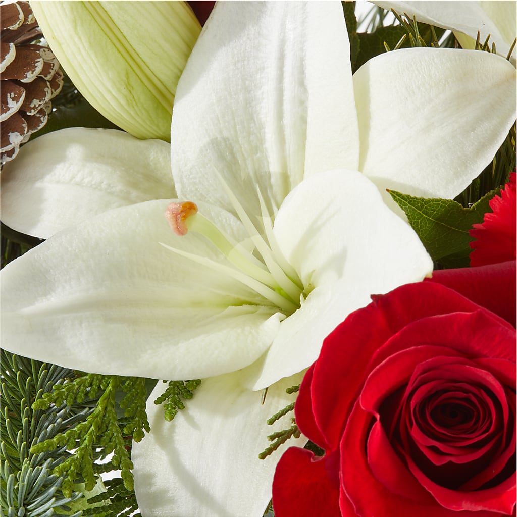 Oh So Jolly Bouquet –  Fleuriste Rive Sud, Longueuil PQ
