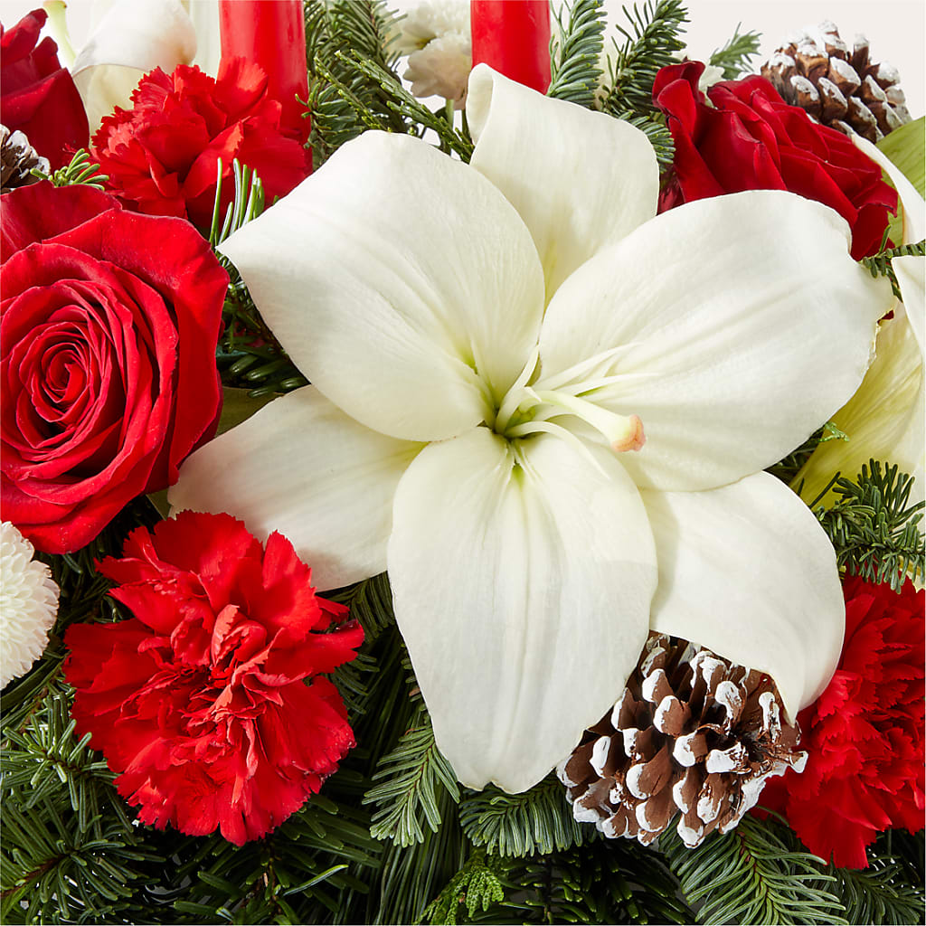 Seasonal Festivities Centerpiece –  Fleuriste Rive Sud, Longueuil PQ