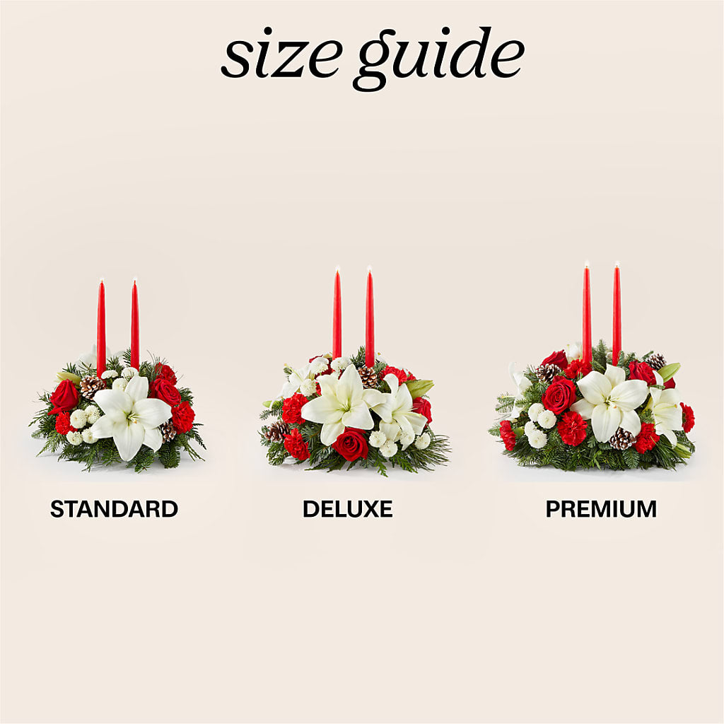 Seasonal Festivities Centerpiece –  Fleuriste Rive Sud, Longueuil PQ