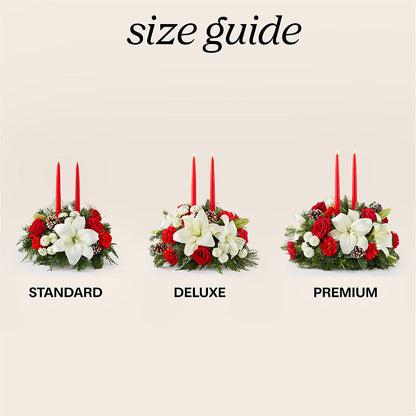 Seasonal Festivities Centerpiece –  Fleuriste Rive Sud, Longueuil PQ
