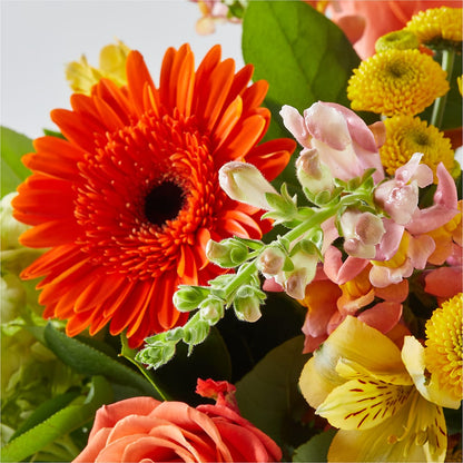 Autumn Sunshine Bouquet –  Fleuriste Rive Sud, Longueuil PQ