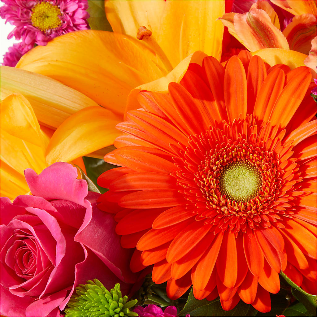 Soiree Bouquet –  Fleuriste Rive Sud, Longueuil PQ