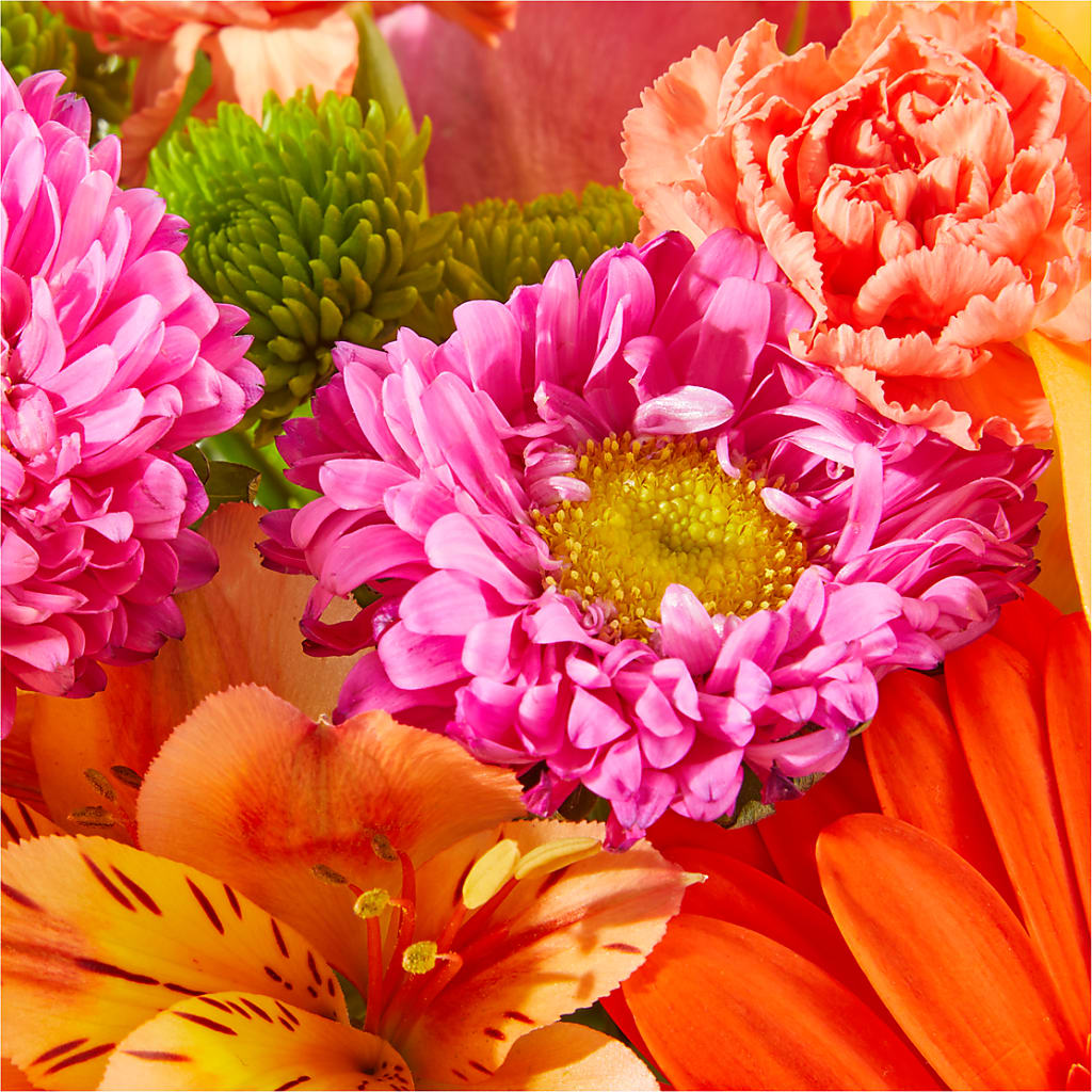 Soiree Bouquet –  Fleuriste Rive Sud, Longueuil PQ