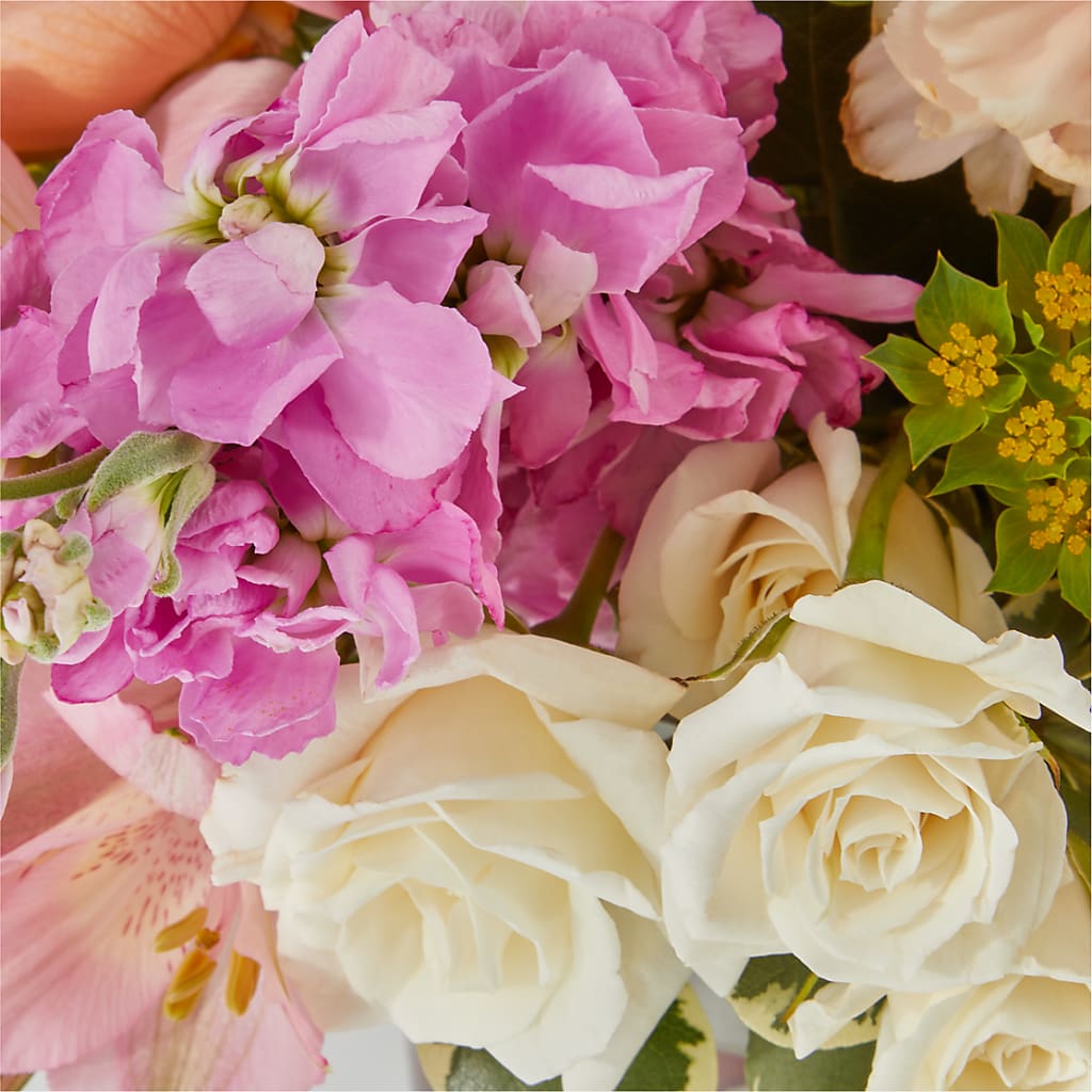 Paradise Bouquet –  Fleuriste Rive Sud, Longueuil PQ