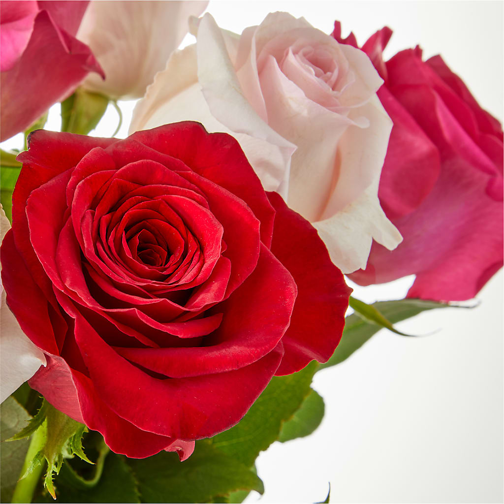 Charming Rose Bouquet –  Fleuriste Rive Sud, Longueuil PQ