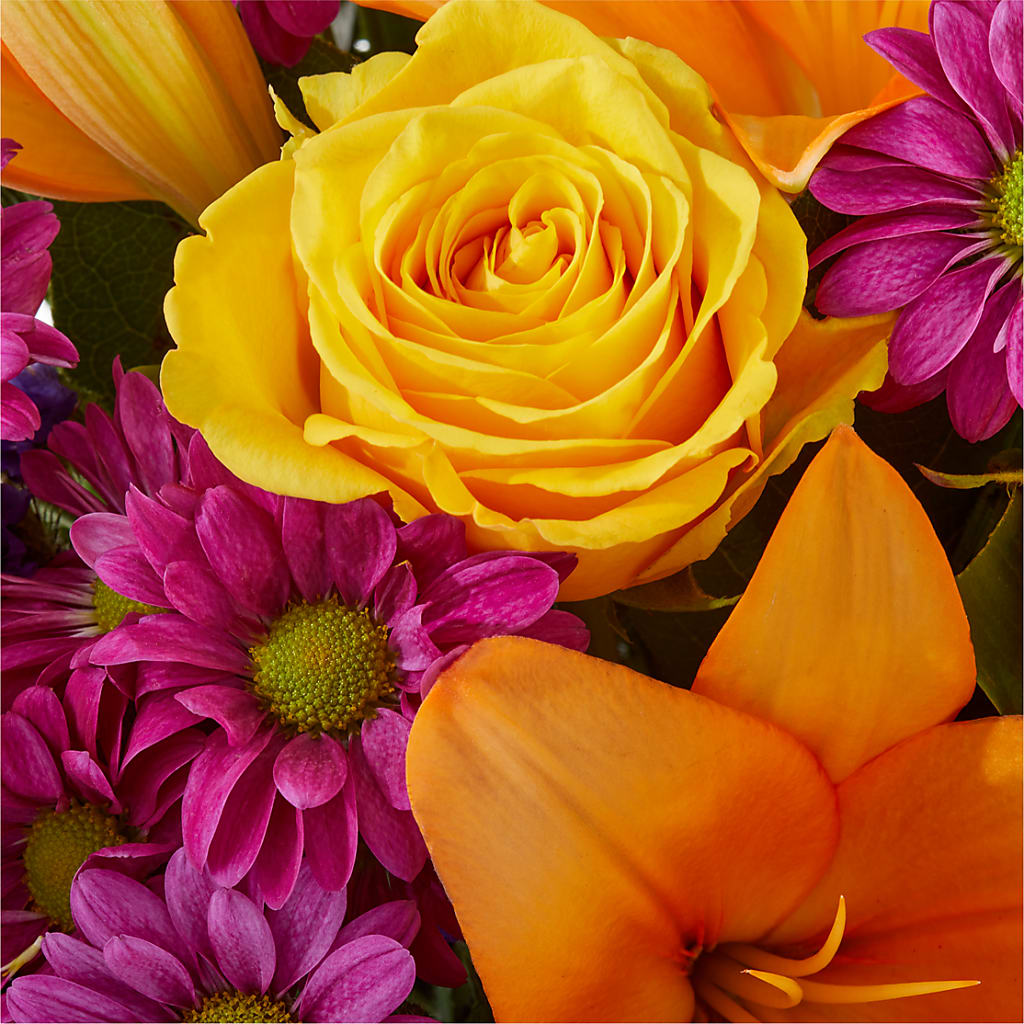 Colorful Visions Bouquet –  Fleuriste Rive Sud, Longueuil PQ