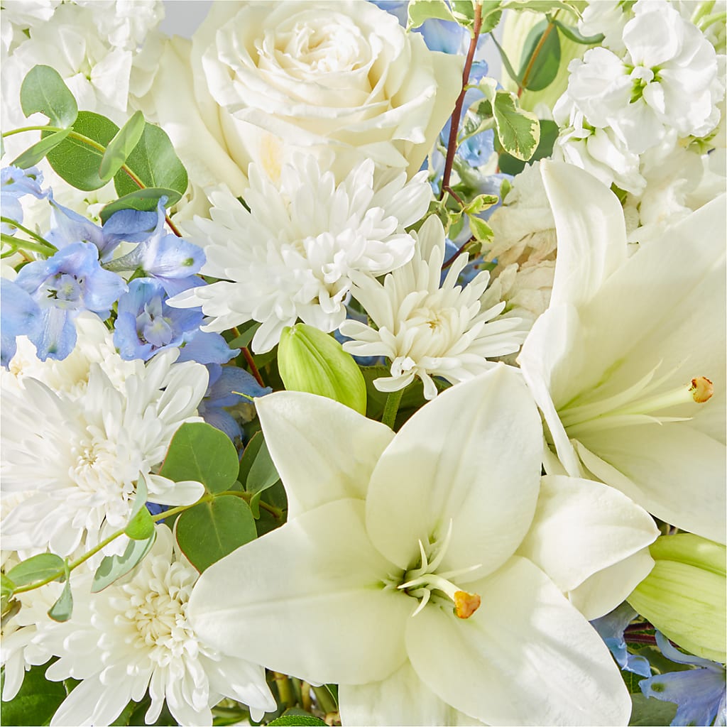 Peace of Mind Bouquet –  Fleuriste Rive Sud, Longueuil PQ