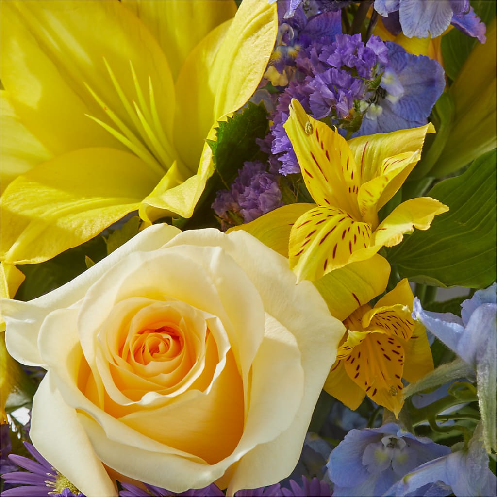 Limoncello Bouquet –  Fleuriste Rive Sud, Longueuil PQ